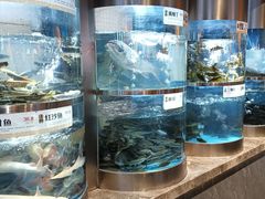 -老船舫·现做活鲜鱼馆(东郊记忆店)