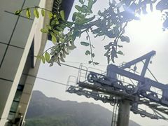 -黄金寨原生态旅游区