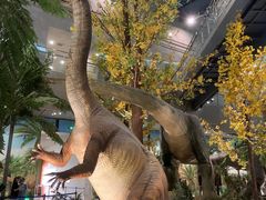 -湖南省地质博物馆