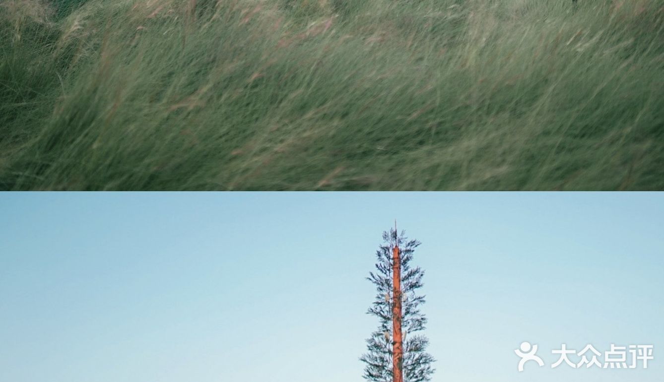 【深圳】初秋出游，千万不要错过红花山的超美粉黛