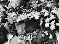 -上海市世外小学