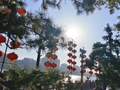 -江心屿景区