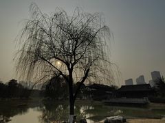-堤角公园