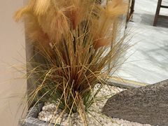 -二分八云雁阁•新晋菜大同味(长治路店)