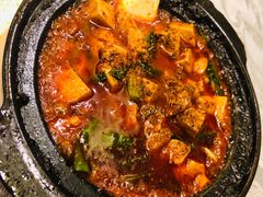 -陈麻婆豆腐总店