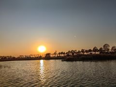 -南大港湿地风景区