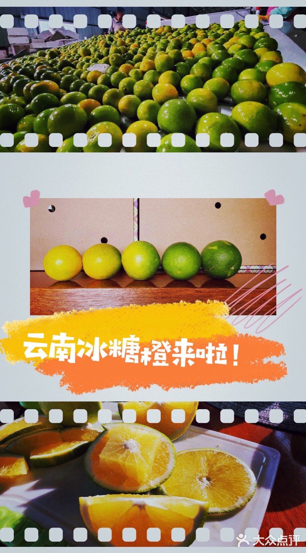 原产地果品推荐-云南冰糖橙