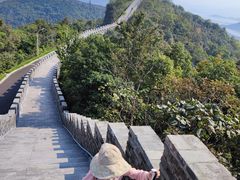 -黄贤森林公园