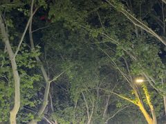 -健康路夜市