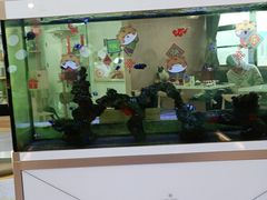 -喵园·猫主题咖啡厅·撸猫·猫咖(国贸店)