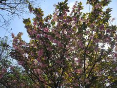 -贵阳市花溪国家城市湿地公园