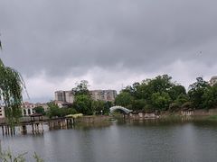 -漳河青花椒鱼头火锅