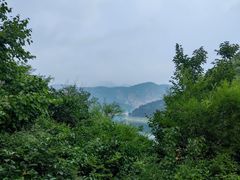 -燕塞湖鸟语林景区