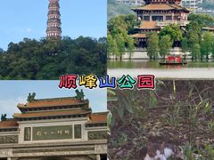-顺峰山公园