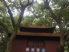 -普陀山风景名胜区-法雨禅寺