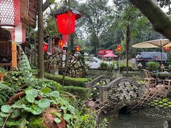 -青城甲(青城山店)