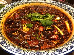 船帮耗儿鱼-杨记隆府(南坪店)