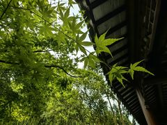 -嘉定博物馆