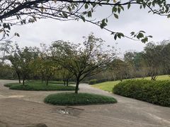 -南山植物园