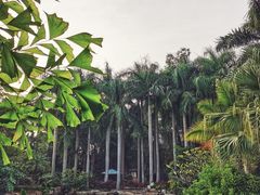 -厦门日月谷温泉渡假村