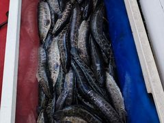 -活鱼馆(宜兴埠店)