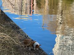 -METAL HANDS(五道营店)