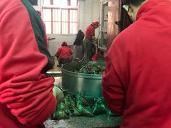 -老妈宫粽球