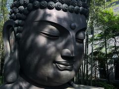 -杭州植物园