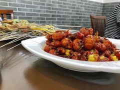 -大萝卜烧烤羊蝎子烤全羊(新城河路店)
