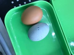-蚝专家