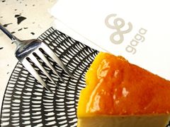 -gaga(深圳南山益田假日广场店)