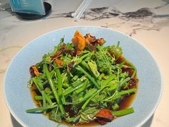 翡翠丝瓜尖-雀蓝川菜(滨湖万象汇店)