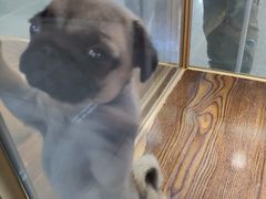 -乐宠宠物店(世纪金源店)