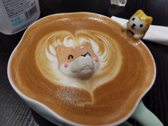 -逗柴咖啡屋·狗咖猫咖宠物桌游