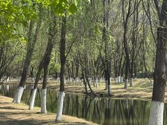 -长白岛森林公园