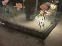 -鸽子侯·家宴·平价海鲜(市图书馆店)