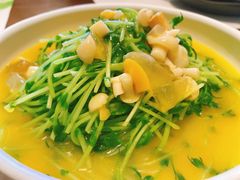 上湯豆苗-榕意·川味之美(深业上城店)