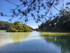 -广州白江湖森林公园