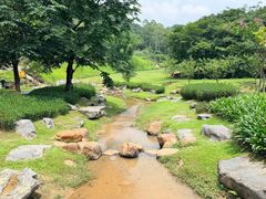 -黄埔油麻山森林公园