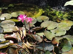 -国家植物园南园