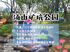 -羊山湖公园