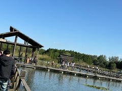 -溱湖国家湿地公园