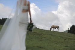 点击看大图 -Chic Bridal 熙可婚纱
