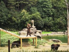 -杭州野生动物世界