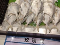 -非烤勿扰自助烤肉(东坑四季广场店)