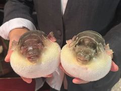 -永安鱼庄·镇江菜(东吴路店)