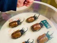 -陕西自然博物馆