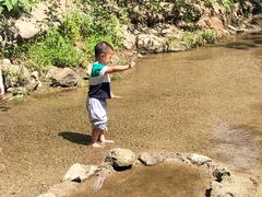 -白水寺森林公园