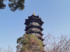 -洋湖国家湿地公园