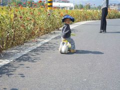 -如意山房柿子树下餐厅